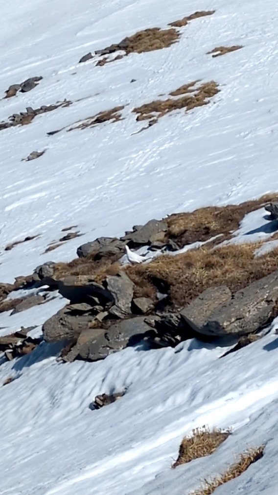 Micro aventure: travers&eacute;e Les Contamines / St Gervais par le mont joly 