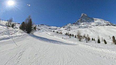 Chaud patate sur de la neige de janvier