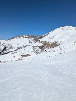 &Egrave; viva monoski