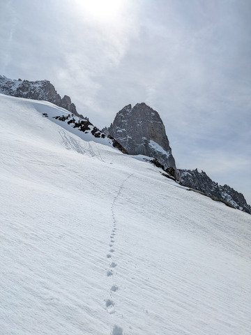But au pas de ch&egrave;vre (compl&eacute;ment) 