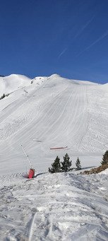 Fermeture dans 2 jours 