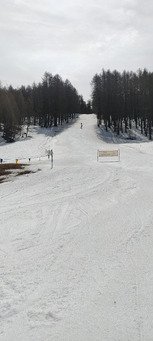 Vraiment top pour le carving ! 