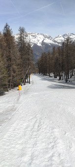 Vraiment top pour le carving ! 