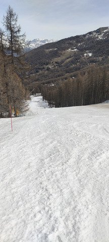 Vraiment top pour le carving ! 