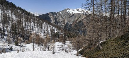 Bon jusqu'&agrave; 13h, bien collant apr&egrave;s 