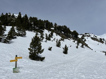 Un vendredi sur les skis