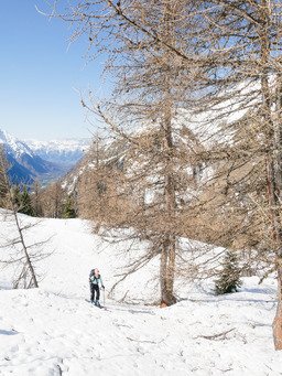 Les Souffles ou la vie dans les bois