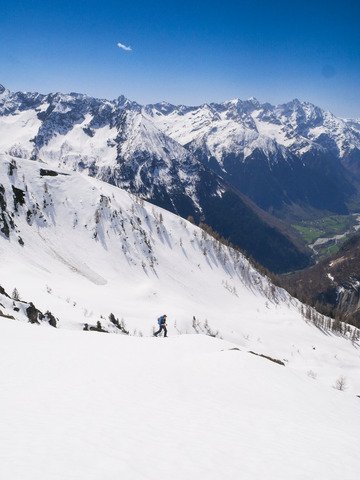 Les Souffles ou la vie dans les bois