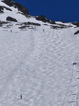 Habitudes et petites d&eacute;couvertes