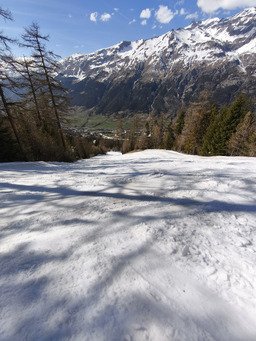 Habitudes et petites d&eacute;couvertes