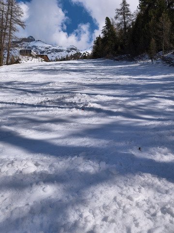 Habitudes et petites d&eacute;couvertes