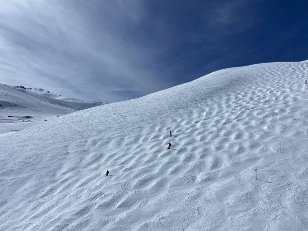 Soupe de printemps 😅