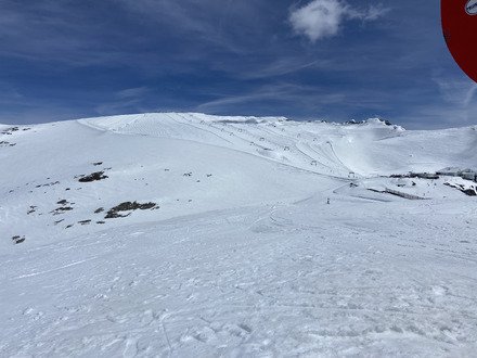 Soupe de printemps 😅