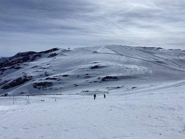 Soupe de printemps 😅