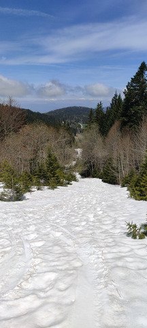 &Ccedil;a skie encore (et plut&ocirc;t bien) aux Soms ! 