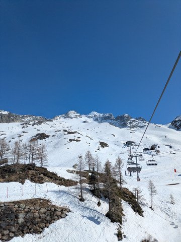 toujours les tropiques 