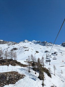 toujours les tropiques 