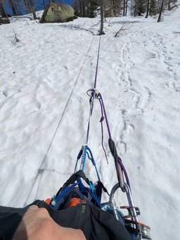 toujours les tropiques 