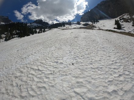 Un petit coucou au TS4 du col