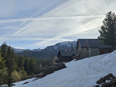 🎵 R&eacute;veil matin, 5h, je me r&eacute;veille comme une fleur 🎵