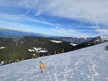 🎵 R&eacute;veil matin, 5h, je me r&eacute;veille comme une fleur 🎵