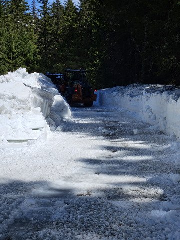🎵 R&eacute;veil matin, 5h, je me r&eacute;veille comme une fleur 🎵