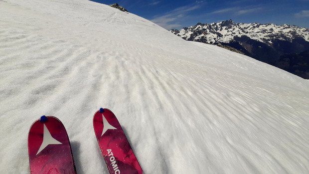 Juste parfaite la moquette de printemps !