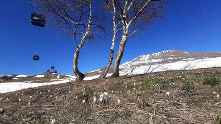 Juste parfaite la moquette de printemps !