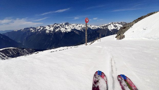 Juste parfaite la moquette de printemps !