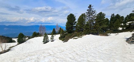 Chamrousse : ski de rando & marmottes !