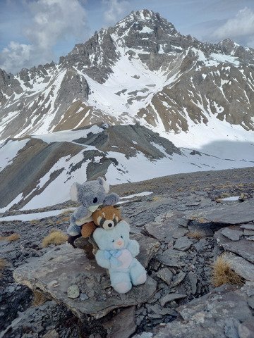 Cervieres j2 : Sommet du grand vallon 