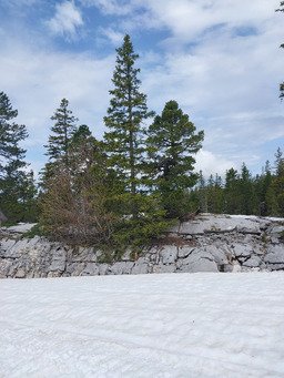 La derniere a priori!