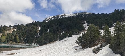 Luge (sur neige) interdite dans le t&eacute;l&eacute;cabine 😡😤
