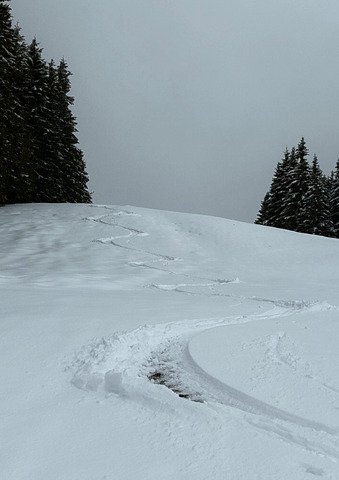 WE surprise sous la neige 🤩😎