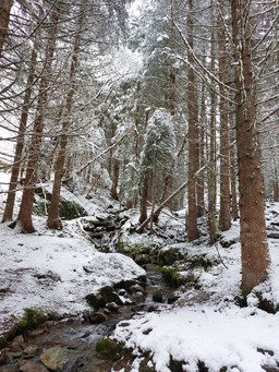 WE surprise sous la neige 🤩😎