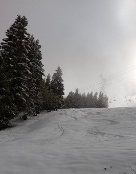 WE surprise sous la neige 🤩😎