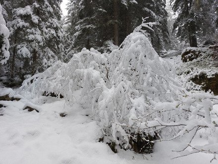 WE surprise sous la neige 🤩😎