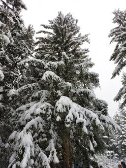WE surprise sous la neige 🤩😎