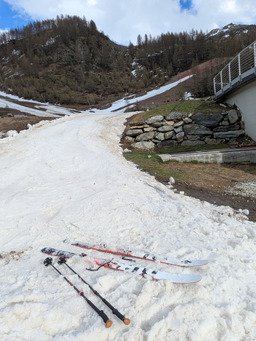 Le Castor g&eacute;n&eacute;reux 