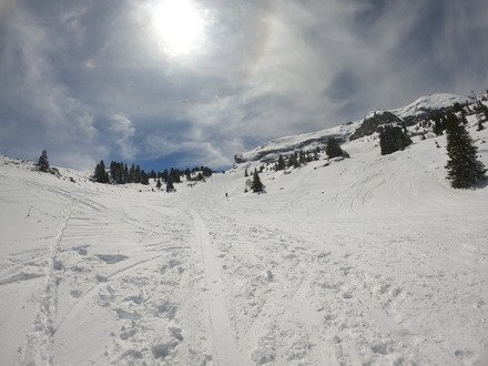 Pas le seul a ne pas vouloir ranger les ski