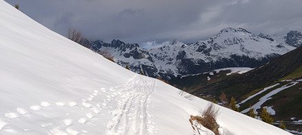 La chance sourit aux audacieux
