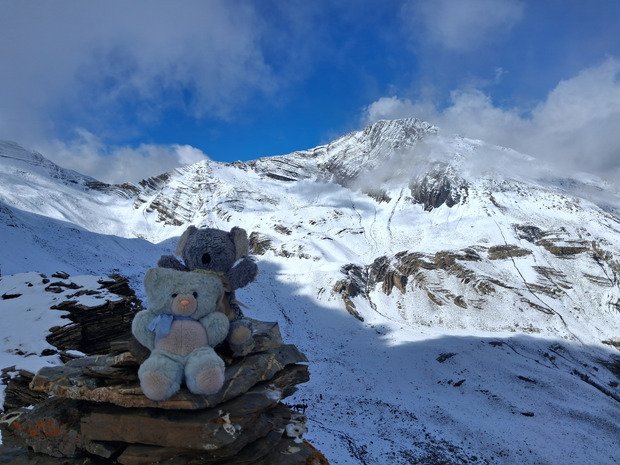 1eres NEIGES, Doudoux heureux ! 🤩🤩