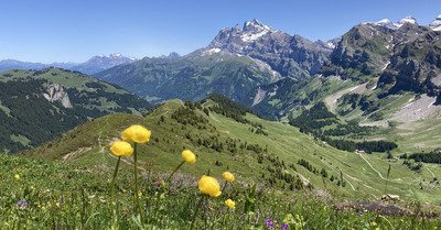 Les Crosets samedi 11 juin 2022