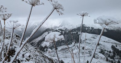 Manigod vendredi 4 novembre 2022