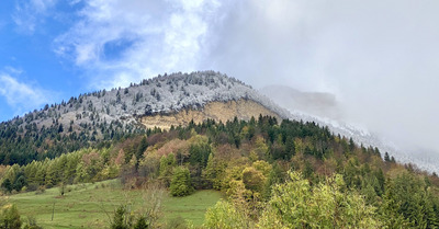 Neige au dessus du Sappey en chartreuse