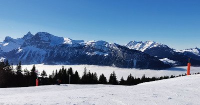 Morillon lundi 28 f&eacute;vrier 2022