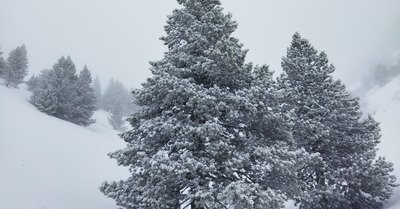 Grand Tourmalet (Bar&egrave;ges - La Mongie) samedi 19 f&eacute;vrier 2022