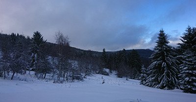 champs du feu dimanche 9 janvier 2022