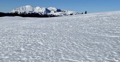 charmant som lundi 20 d&eacute;cembre 2021