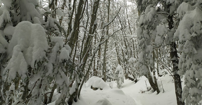 Le granier lundi 29 novembre 2021